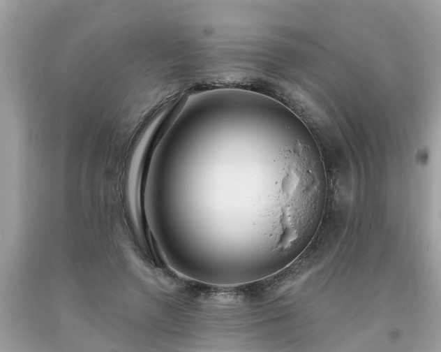 X0000093760546200710231254