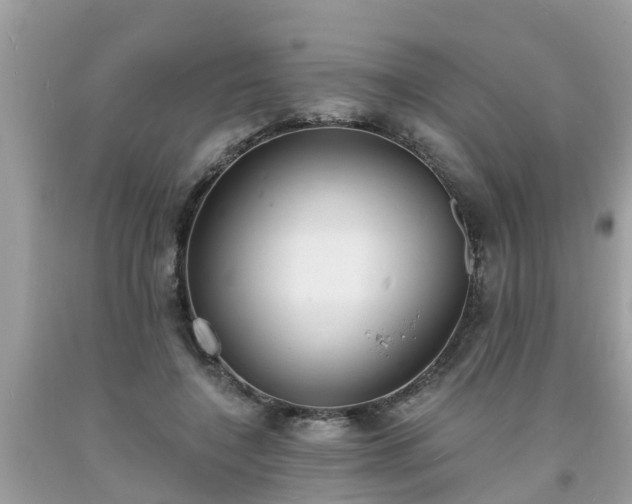 X0000093760548200710231254