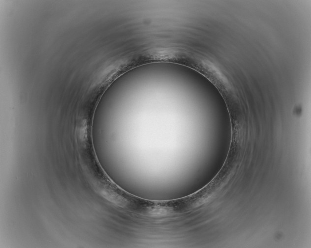 X0000093760549200710231254