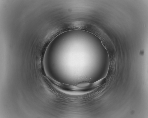 X0000093760552200710231254