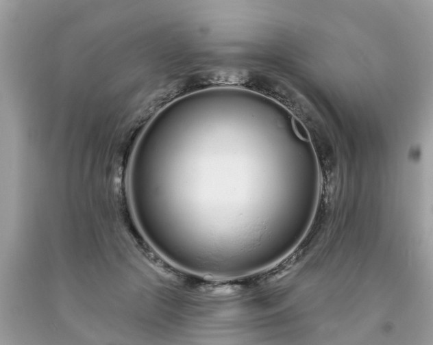 X0000093760553200710231254