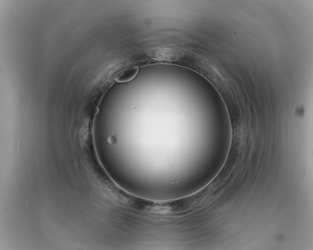 X0000093760554200710231254