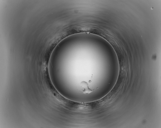 X0000093760555200710231254