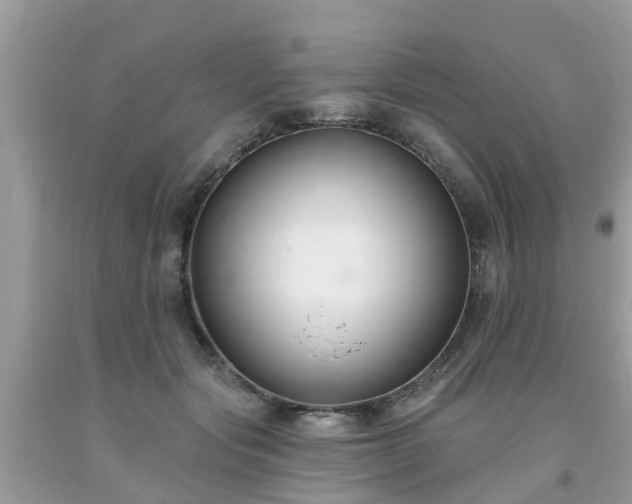 X0000093760557200710231254