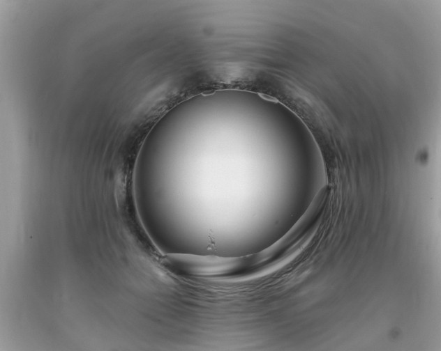 X0000093760558200710231254