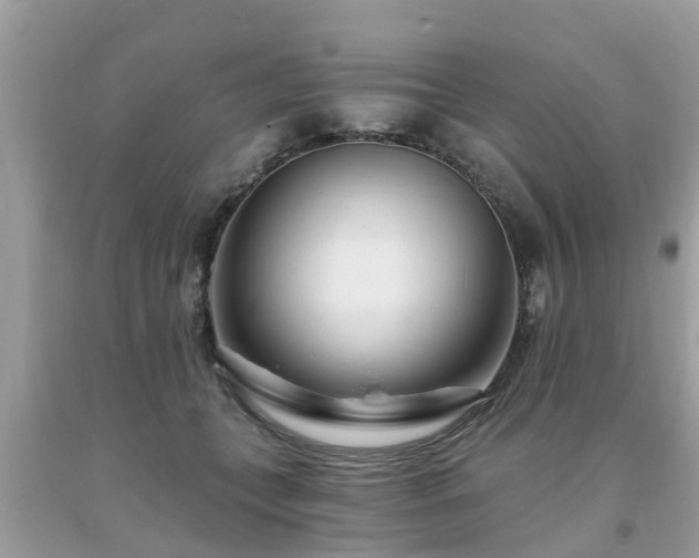 X0000093760559200710231254