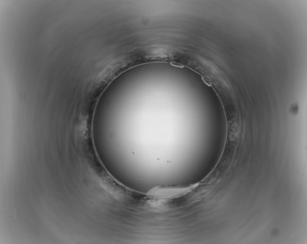 X0000093760560200710231254