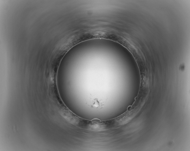 X0000093760561200710231254