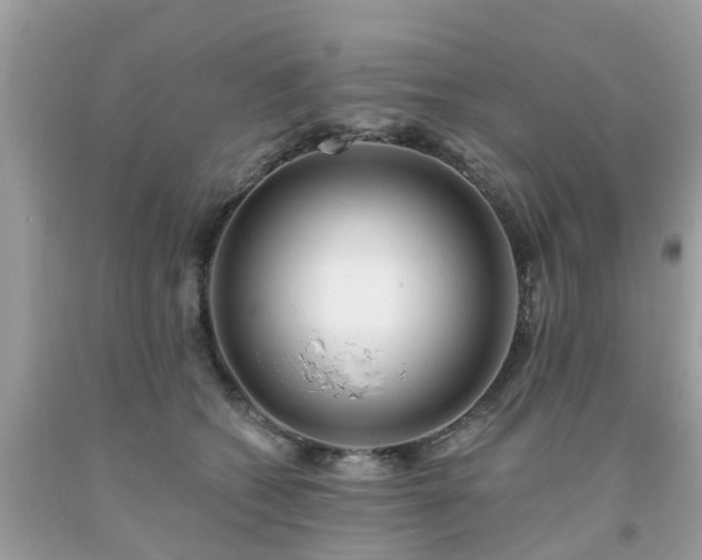 X0000093760562200710231254