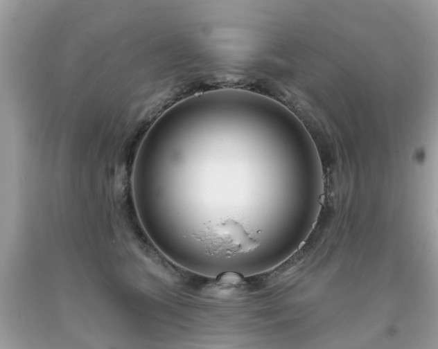 X0000093760563200710231254