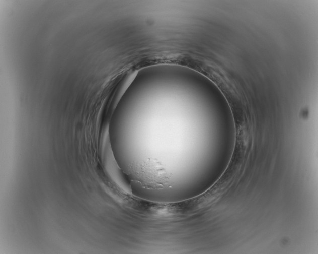 X0000093760564200710231254