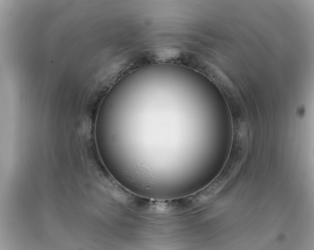 X0000093760565200710231254