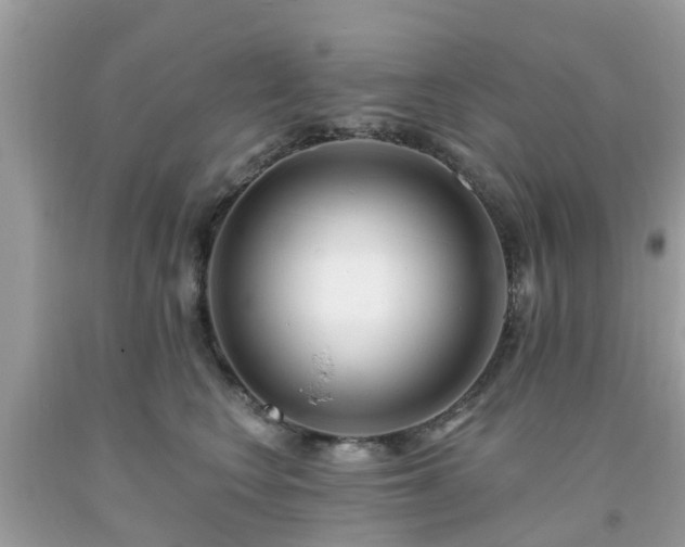 X0000093760566200710231254