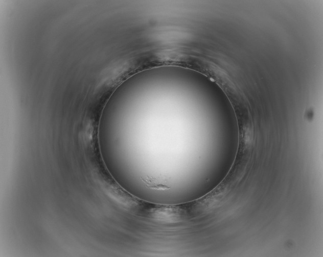 X0000093760567200710231254