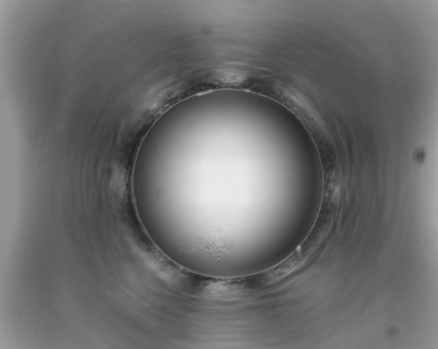 X0000093760568200710231254