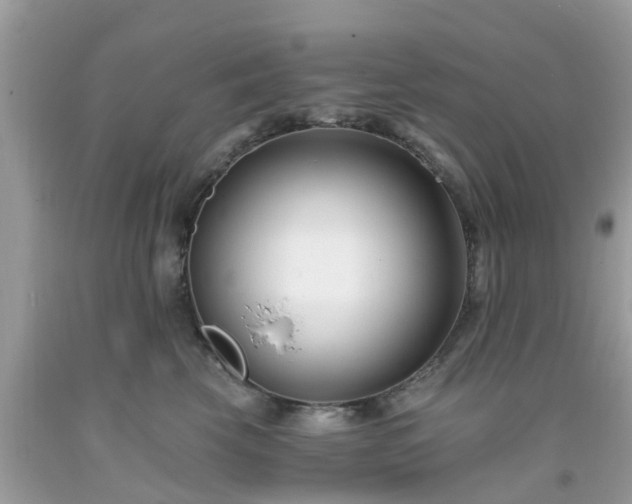 X0000093760569200710231254