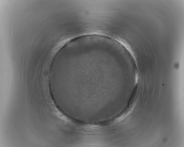 X0000093760577200710231254