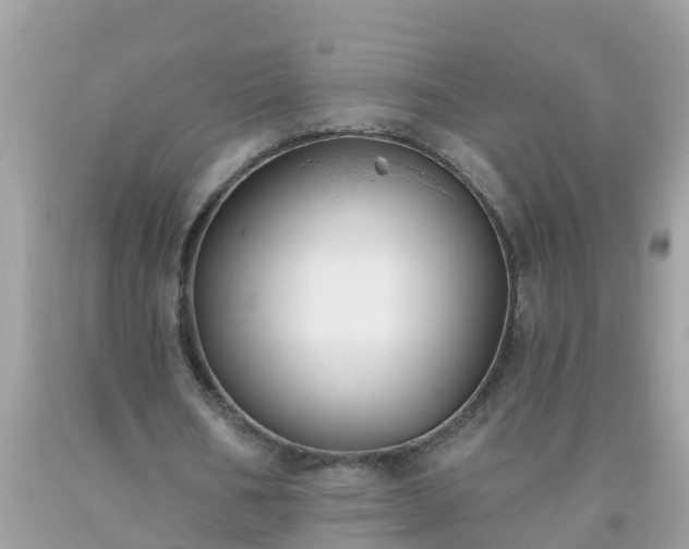 X0000093760578200710231254