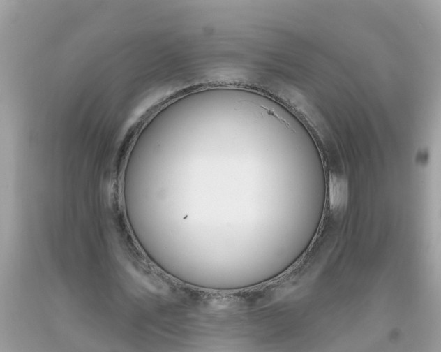 X0000093760579200710231254