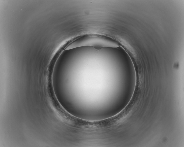 X0000093760580200710231254