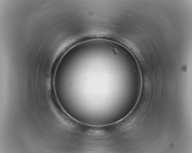 X0000093760582200710231254