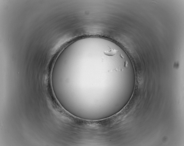 X0000093760583200710231254