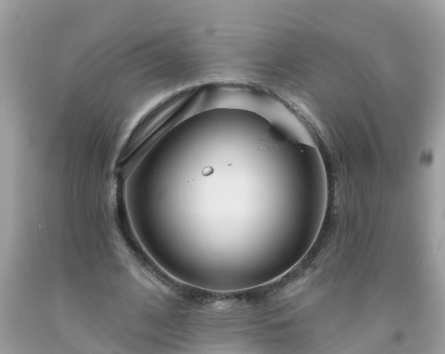 X0000093760584200710231254