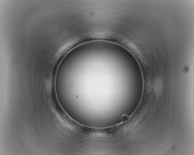 X0000093760586200710231254