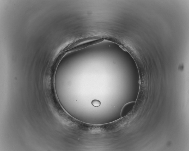 X0000093760587200710231254