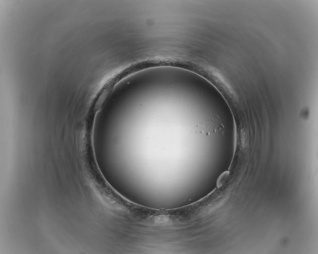 X0000093760588200710231254