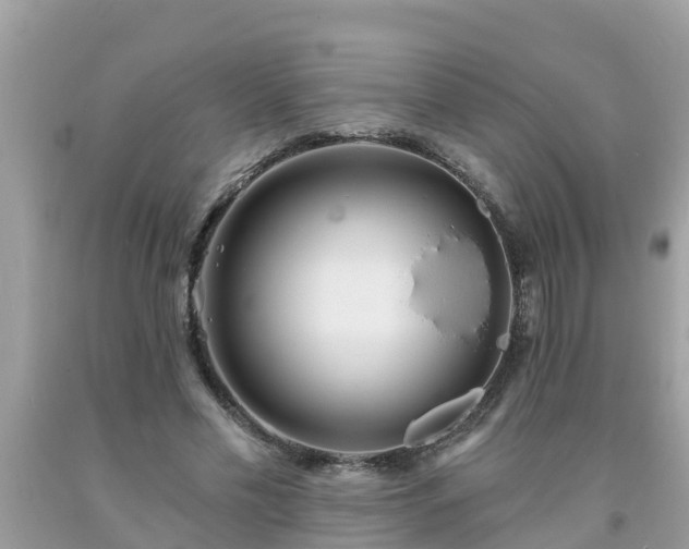 X0000093760589200710231254