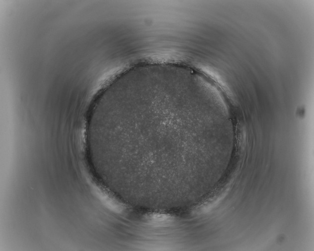 X0000093760590200710231254