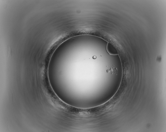 X0000093760591200710231254