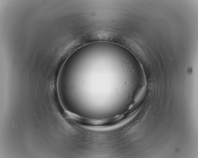 X0000093760593200710231254