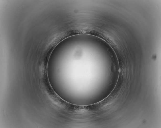 X0000093760594200710231254