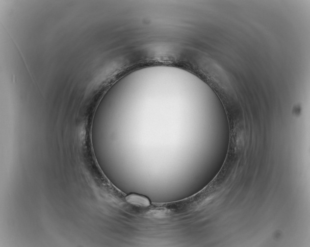 X0000093760595200710231254