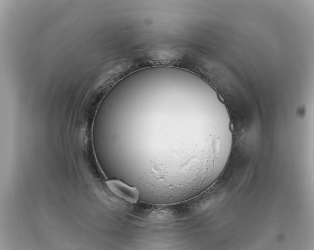 X0000093760599200710231254