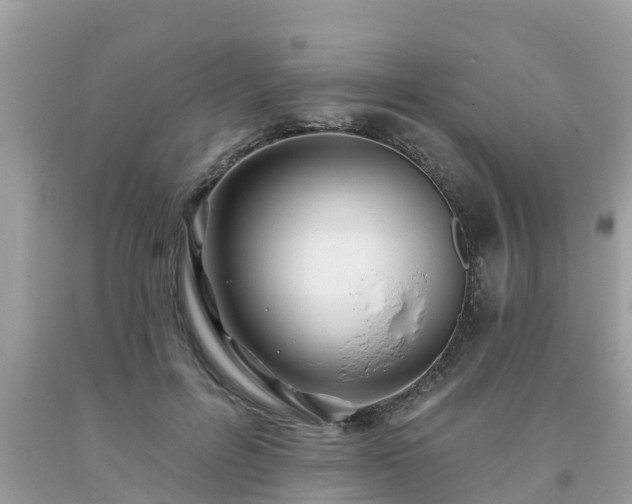 X0000093760600200710231254