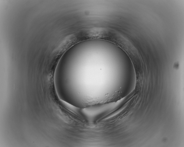 X0000093760601200710231254