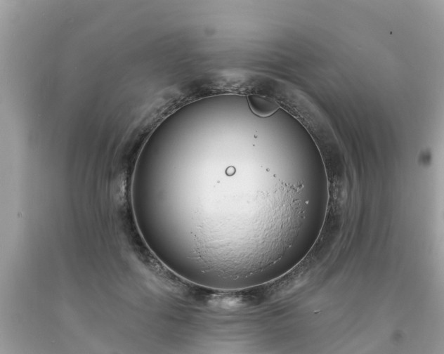 X0000093760602200710231254