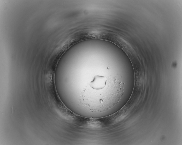 X0000093760603200710231254