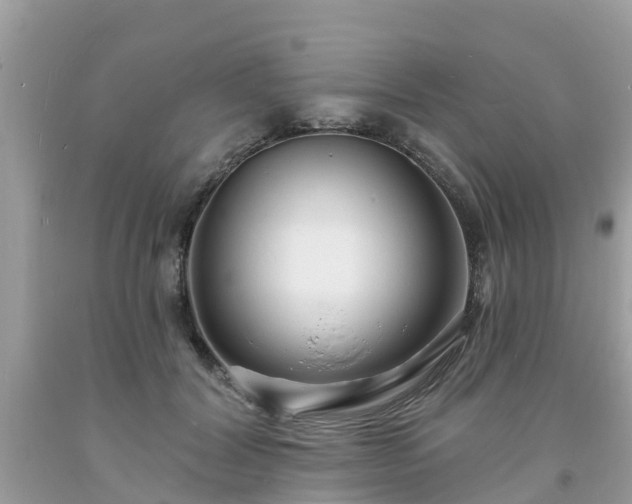 X0000093760604200710231254