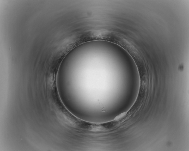 X0000093760605200710231254