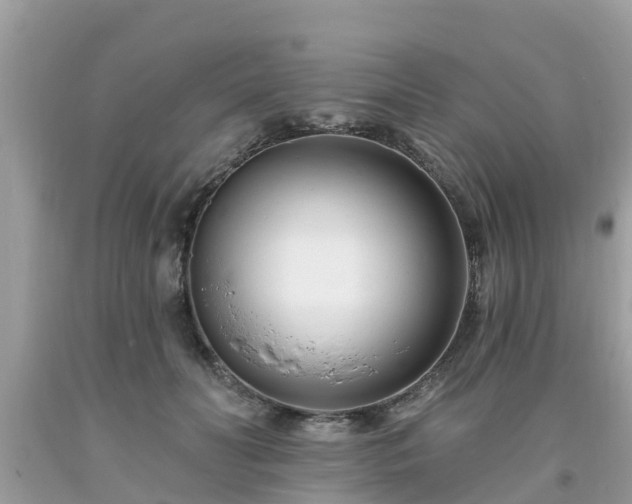 X0000093760606200710231254