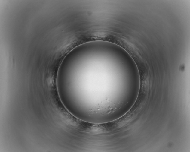 X0000093760608200710231254