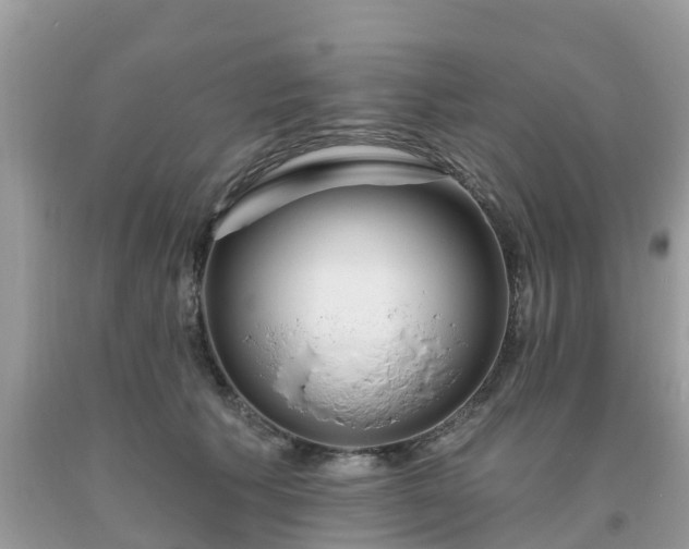 X0000093760609200710231254