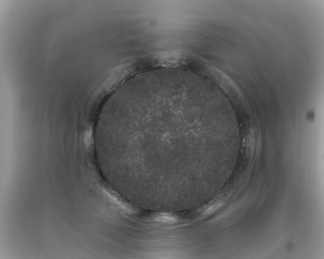 X0000093760610200710231254