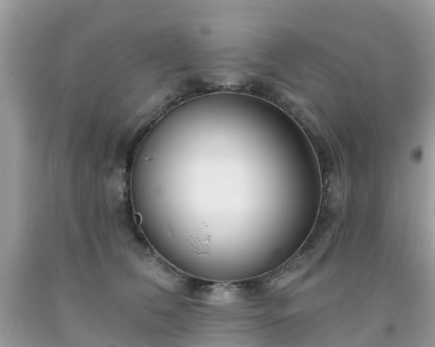 X0000093760612200710231254