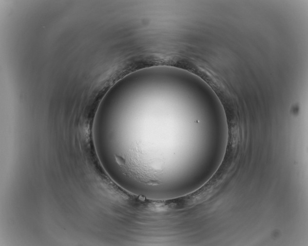 X0000093760613200710231254