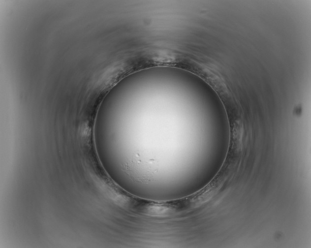 X0000093760614200710231254